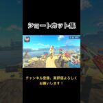 【超爽快】出来たら気持ちいいショートカット集… #マリオカートワールド  #マリオ #shortsvideo #youtube #mariokart #たあgames #shortsvideo