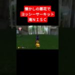 懐かしの悪花でヨッシーサーキット滝ＮＩＳＣ【マリオカート８デラックス】