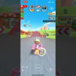 ポチのマリオカート