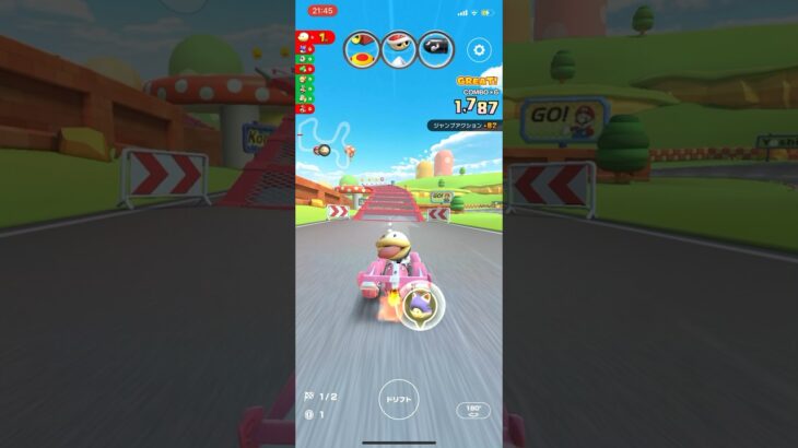 ポチのマリオカート