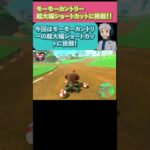 マリオカートワールド モーモーカントリー 大幅ショートカットに挑戦！