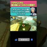 マリオカートワールド 大幅ショートカットに挑戦！！