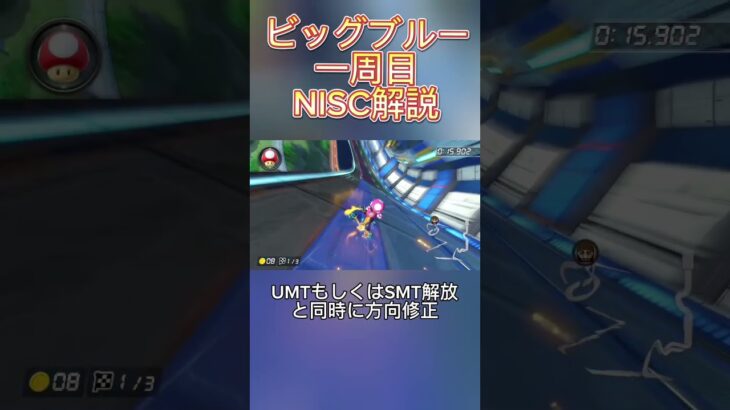 ビッグブルー1周目NISC解説#マリカ #マリオカート #マリカ8 #マリオカート8dx #マリオカート8デラックス #nisc #mariokart # すごい #エグい #解説 #shorts