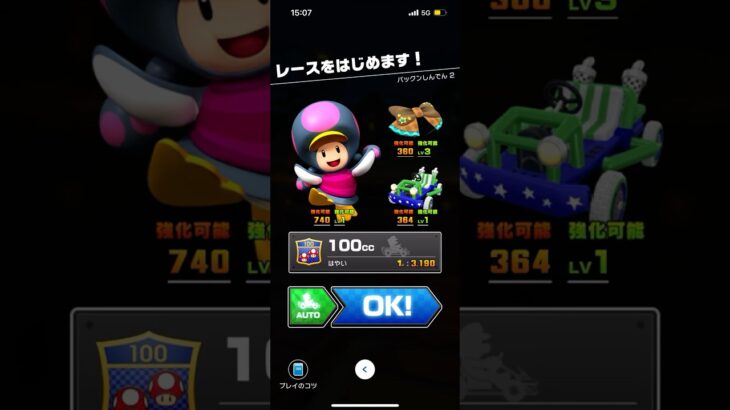 #317 マリオカートツアーをプレイ『パックンしんでん 2』