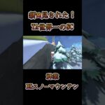 【新発見された世界一のショートカット】DKスノーマウンテン【神ショートカット】【マリオカートワールド】NISC ショトカ#shorts