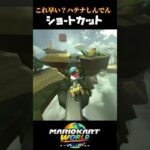 「マリオカートワールド」これ早い？ハテナしんでんキノコ＆NISCショートカット