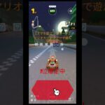 マリオカートツアーで遊んでみた！めちゃ楽しい(≧∇≦)ベビロゼ最高(*｀ω´)b#もふまろ#マリオカートツアー