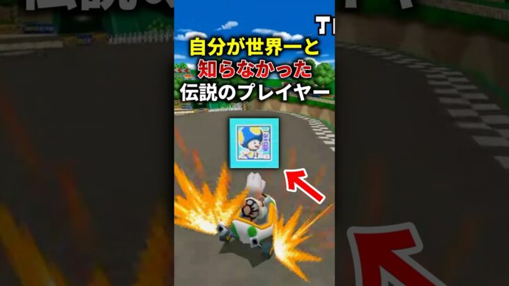 無自覚に世界記録を量産した伝説のプレイヤー #マリオカートds