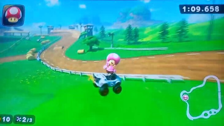 モーモーカントリーショートカット【マリオカートワールド】