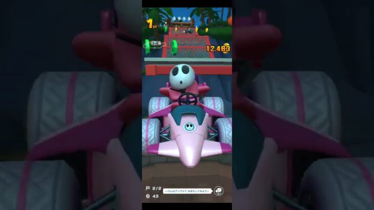 マリオカートツアープレイ動画
