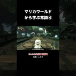 マリオカートワールドから学ぶ常識④#マリオカートワールド