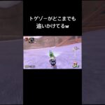 トゲゾーがどこまでも追いかけてるw #マリオカート #shorts #マリオカートツアー #実況 #ヨッシー #ドンキーコング #ヨッシーアイランド #マリオ
