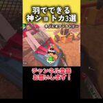 羽ショートカットの神ショトカ3選 #マリカワールド #マリカー #羽ショトカ #ショートカット #マリカ #羽ショートカット #マリオカートワールド