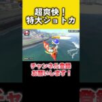 超爽快！トロフィーシティの特大ショートカットが気持ち良すぎる！  #羽ショトカ #ショートカット #マリカ #羽ショートカット #マリオカートワールド #NISC #ニスク #特大ショートカット