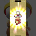 【マリオカートツアー　サンシャインツアー】R7/8/7 後半戦ランキングの結果