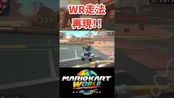 WRの走法再現‼︎ 〜マリブサ編〜[マリオカートワールド]