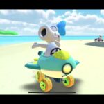 【参加型】マリオカートツアー！