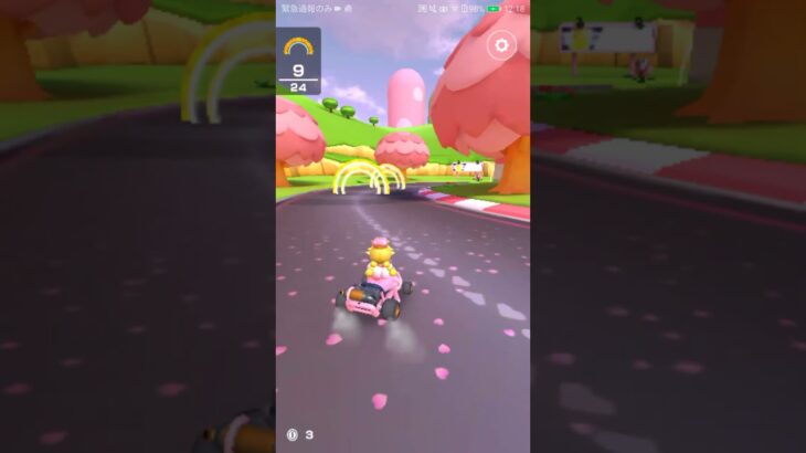 【臨時公開】 多くのリングをくぐれ！！【ボーナスステージ】（プリンセスツアー）