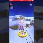 アイスツアー Miiカップ ボーナスチャレンジ はばたけグライダー#マリオカートツアー