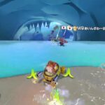 マリオカートsq wut ozax